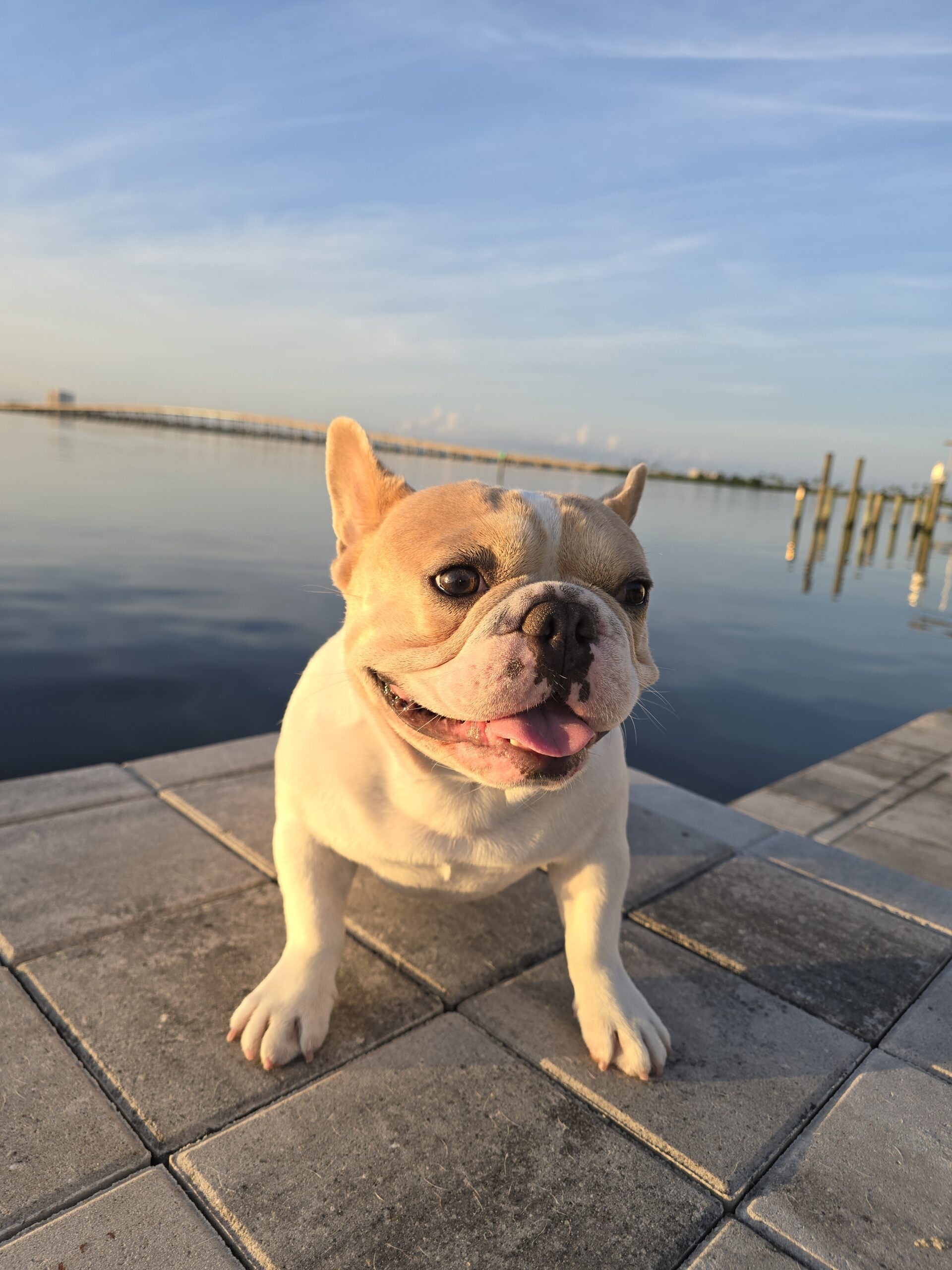 Ace smiling
