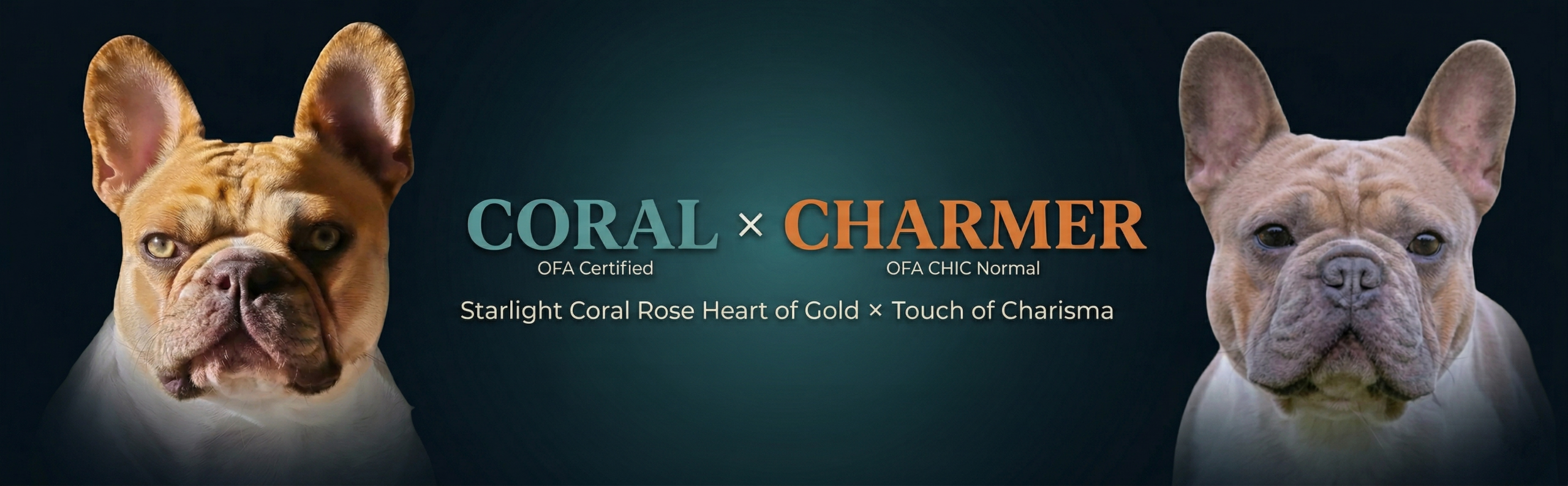 Coral x Charmer - Paradise Coast Frenchies